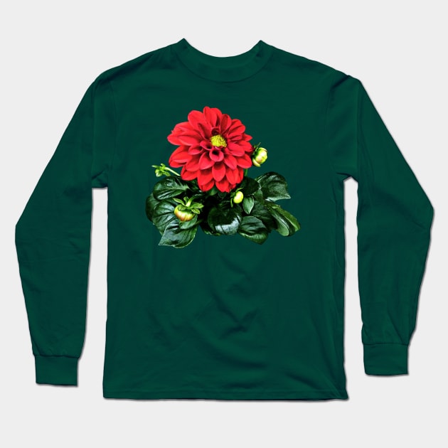 Red Dahlia Dahlinova Long Sleeve T-Shirt by SusanSavad